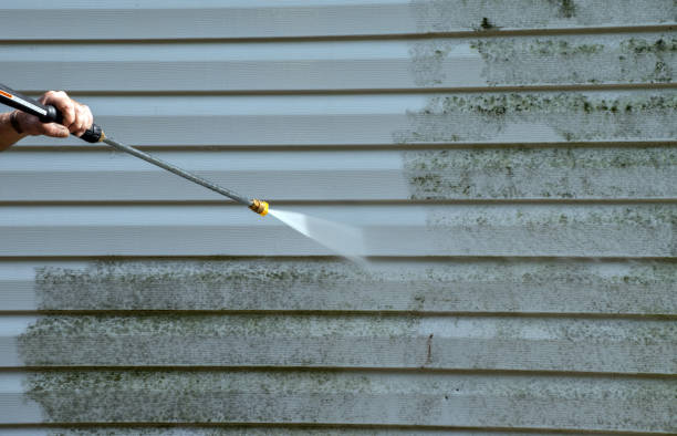 Best Pressure Washing Company Near Me  in St Paul, TX