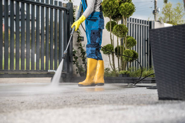 Best House Pressure Washing  in St Paul, TX