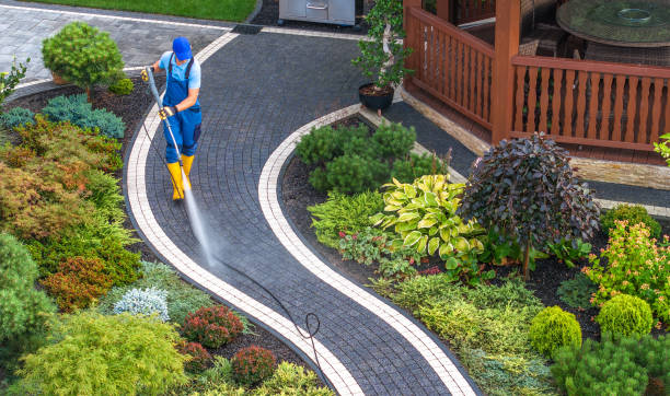 Best Affordable Power Washing  in St Paul, TX